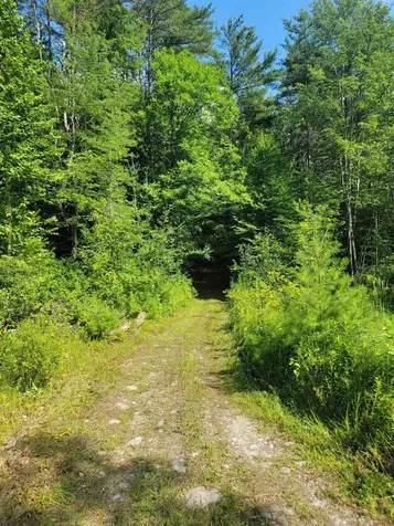 18 Hidden Valley Road Shaftsbury VT 05262