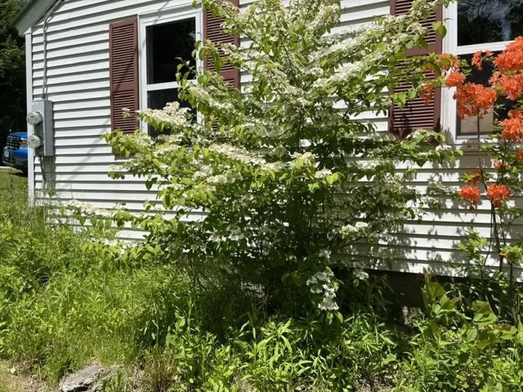 98 Greenleaf Street Brattleboro VT 05301