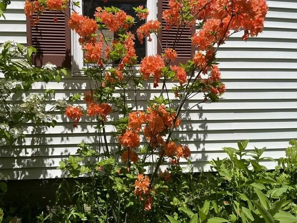 98 Greenleaf Street Brattleboro VT 05301