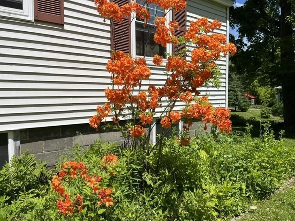98 Greenleaf Street Brattleboro VT 05301