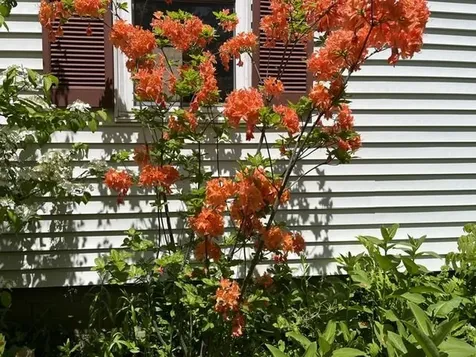 98 Greenleaf Street Brattleboro VT 05301