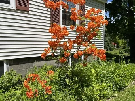 98 Greenleaf Street Brattleboro VT 05301