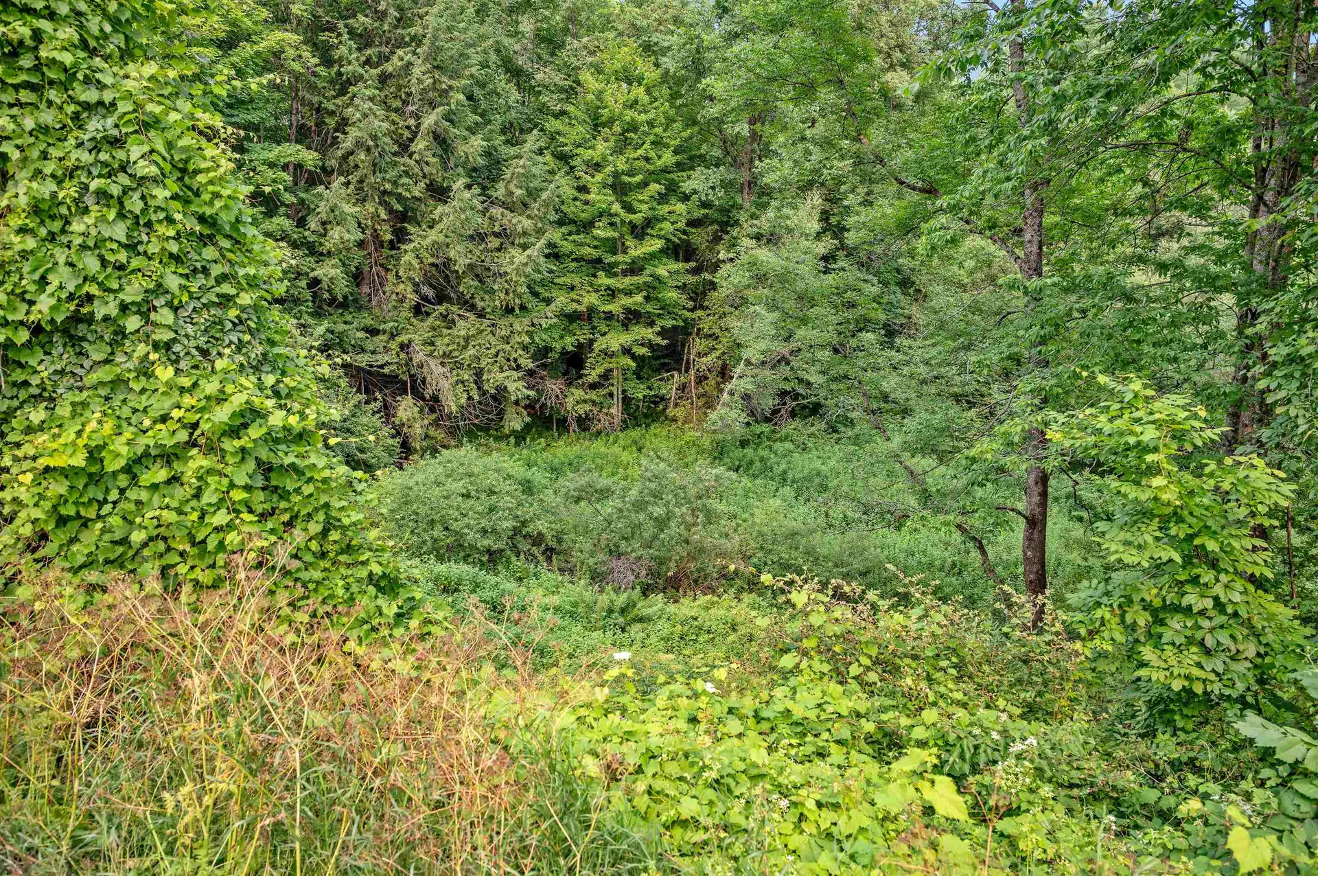 285 Chandler Road Northfield VT 05663