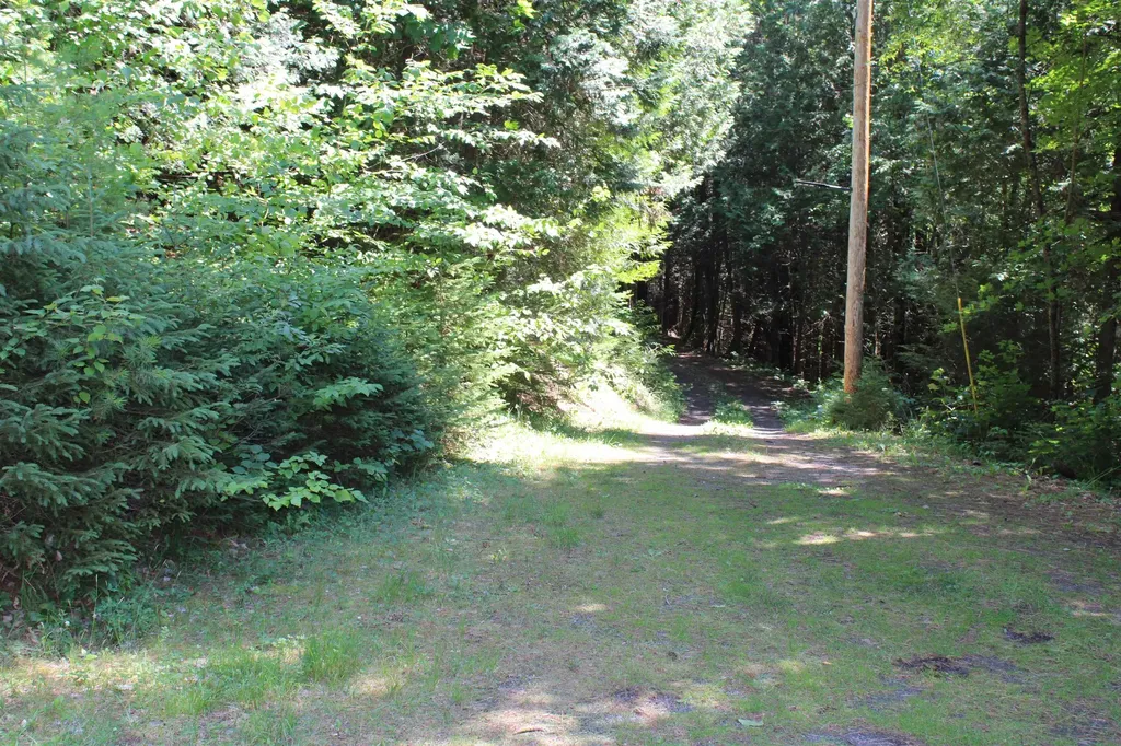 684 Swett Road Danville VT 05828