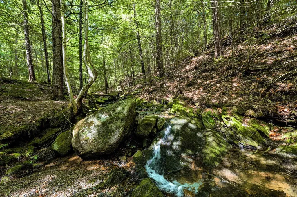 2843 Burrington Hill Whitingham VT 05361