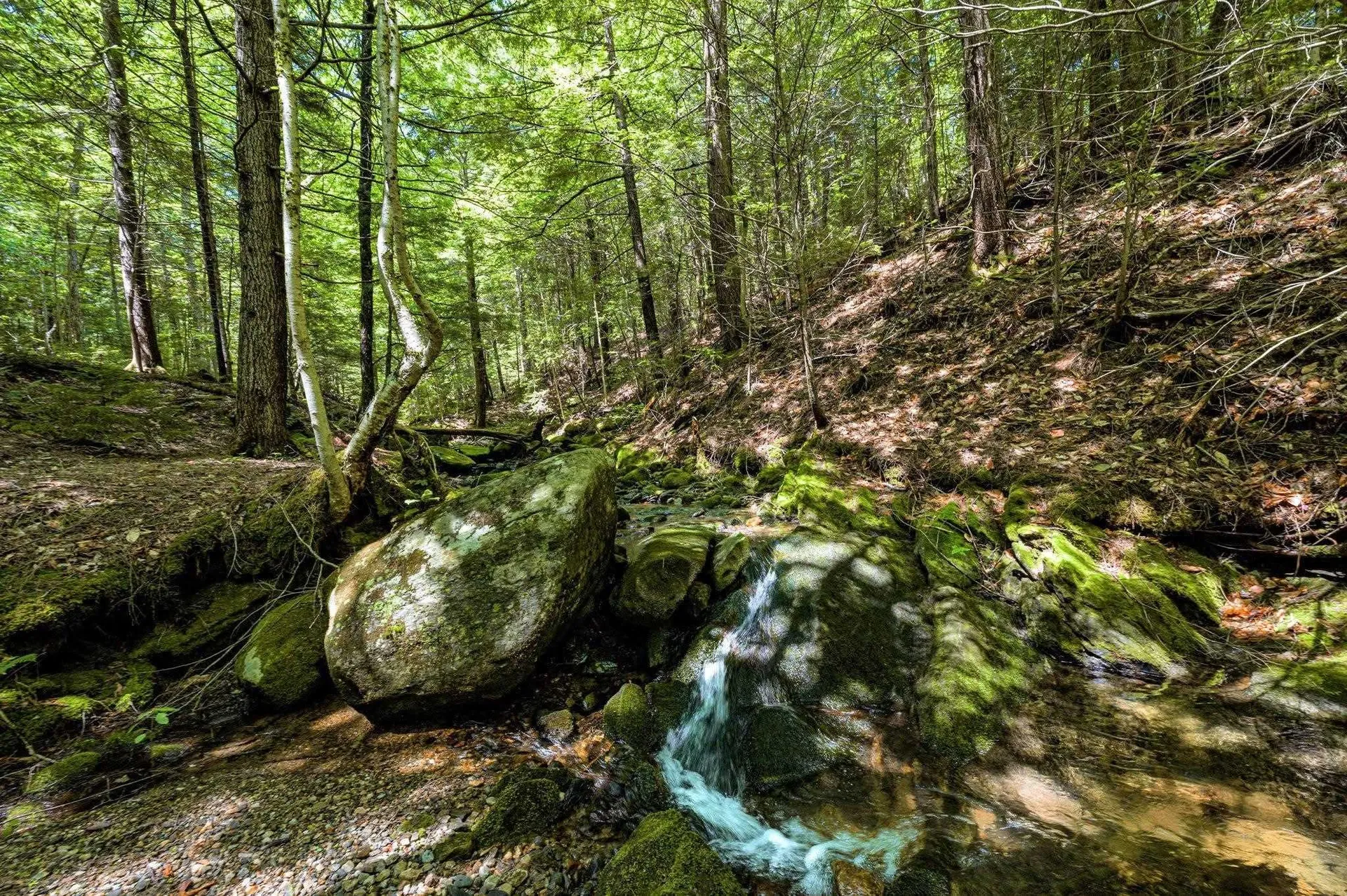 2843 Burrington Hill Whitingham VT 05361