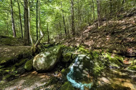 2843 Burrington Hill Whitingham VT 05361
