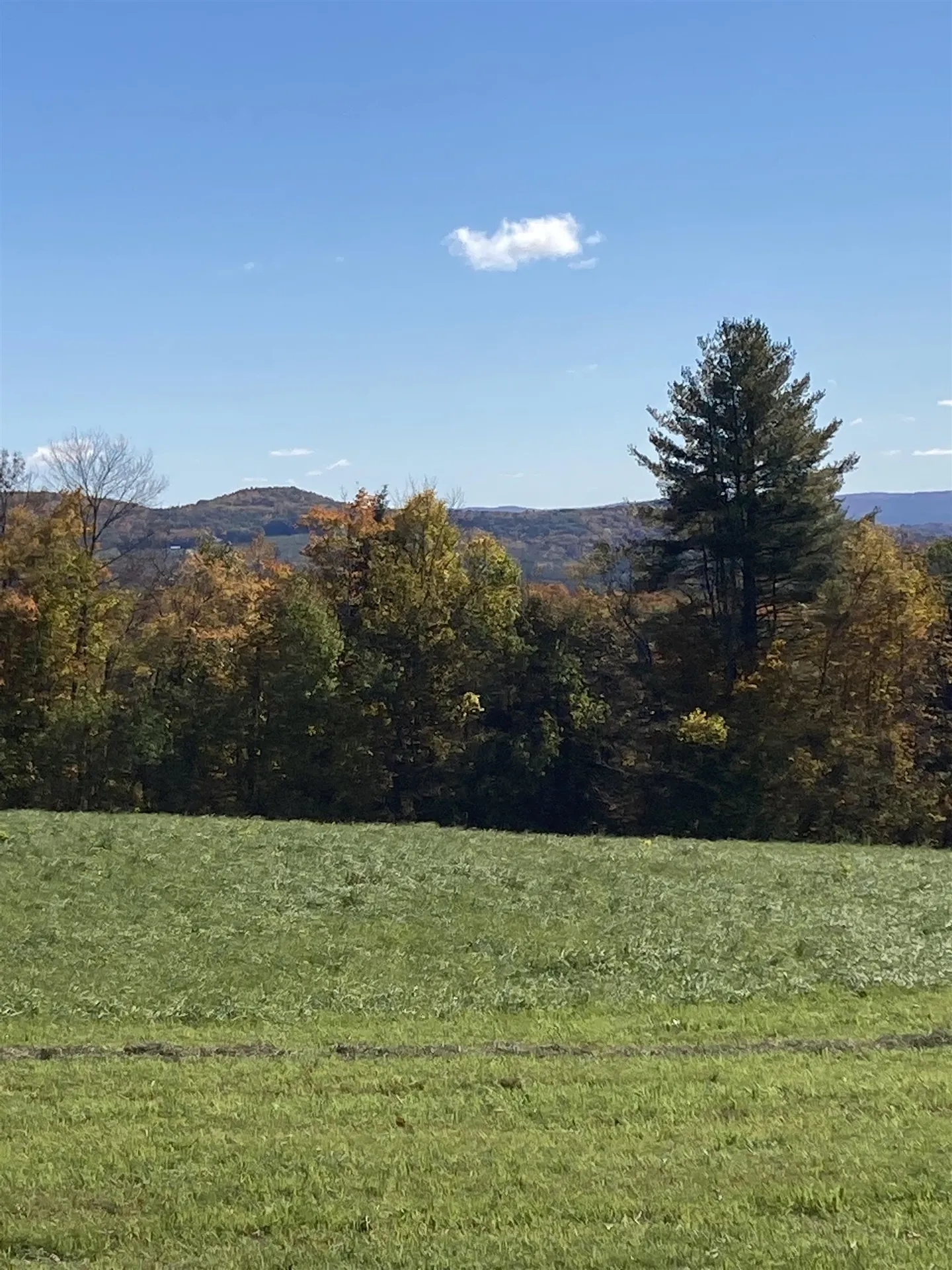 734 Gould Road Chester VT 05143