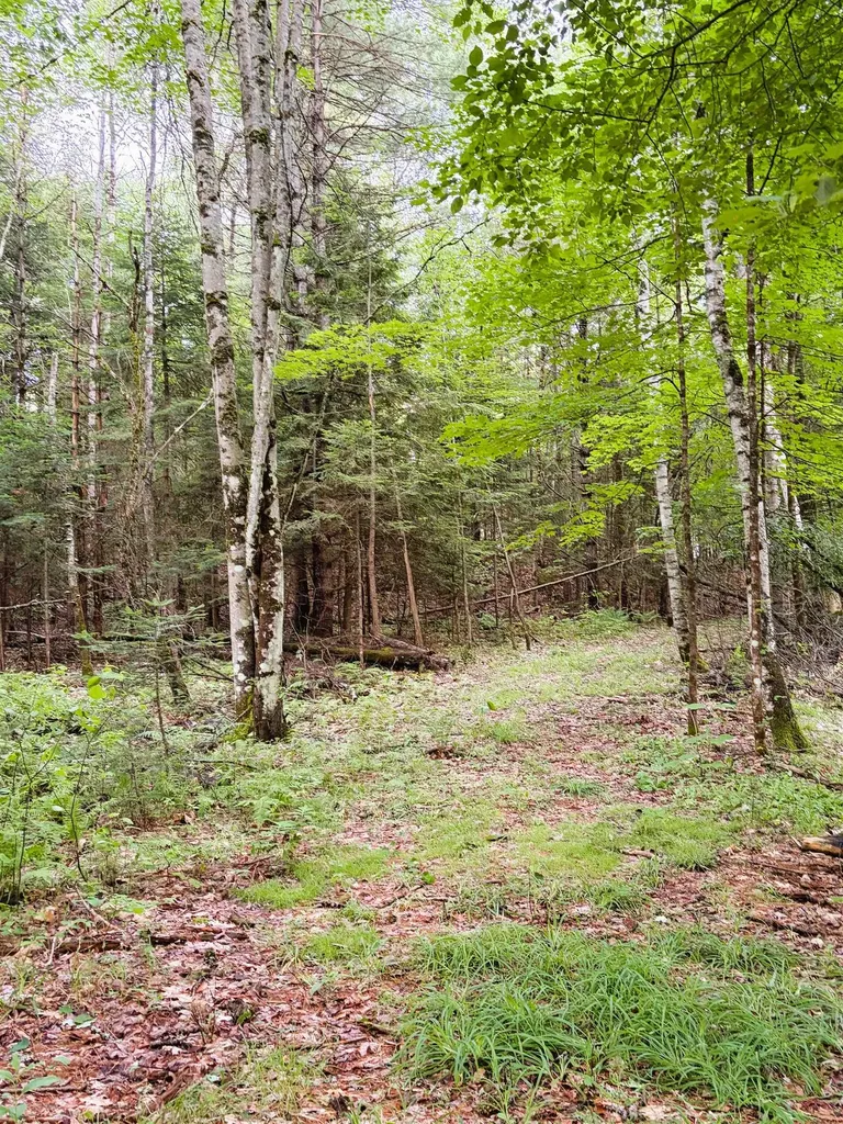 0 Old Partridge Lake Road Littleton NH 03561