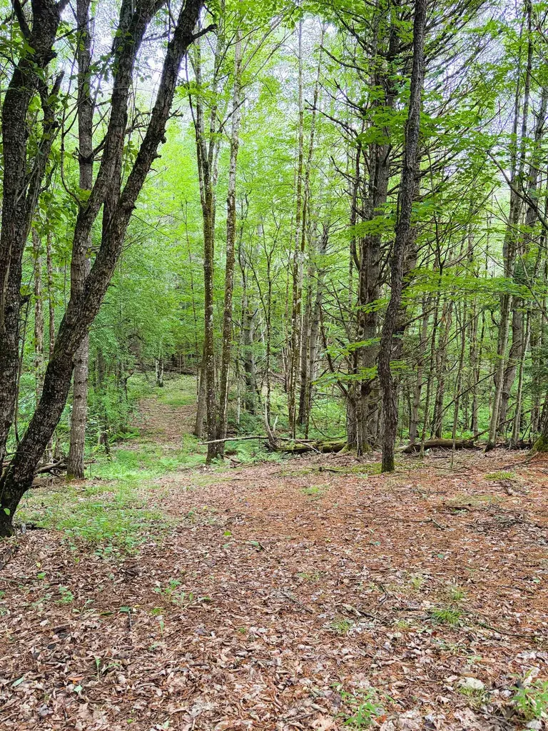 0 Old Partridge Lake Road Littleton NH 03561