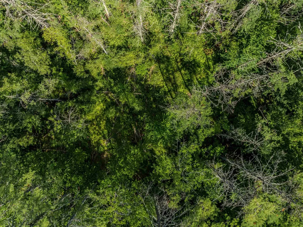 0 Old Partridge Lake Road Littleton NH 03561