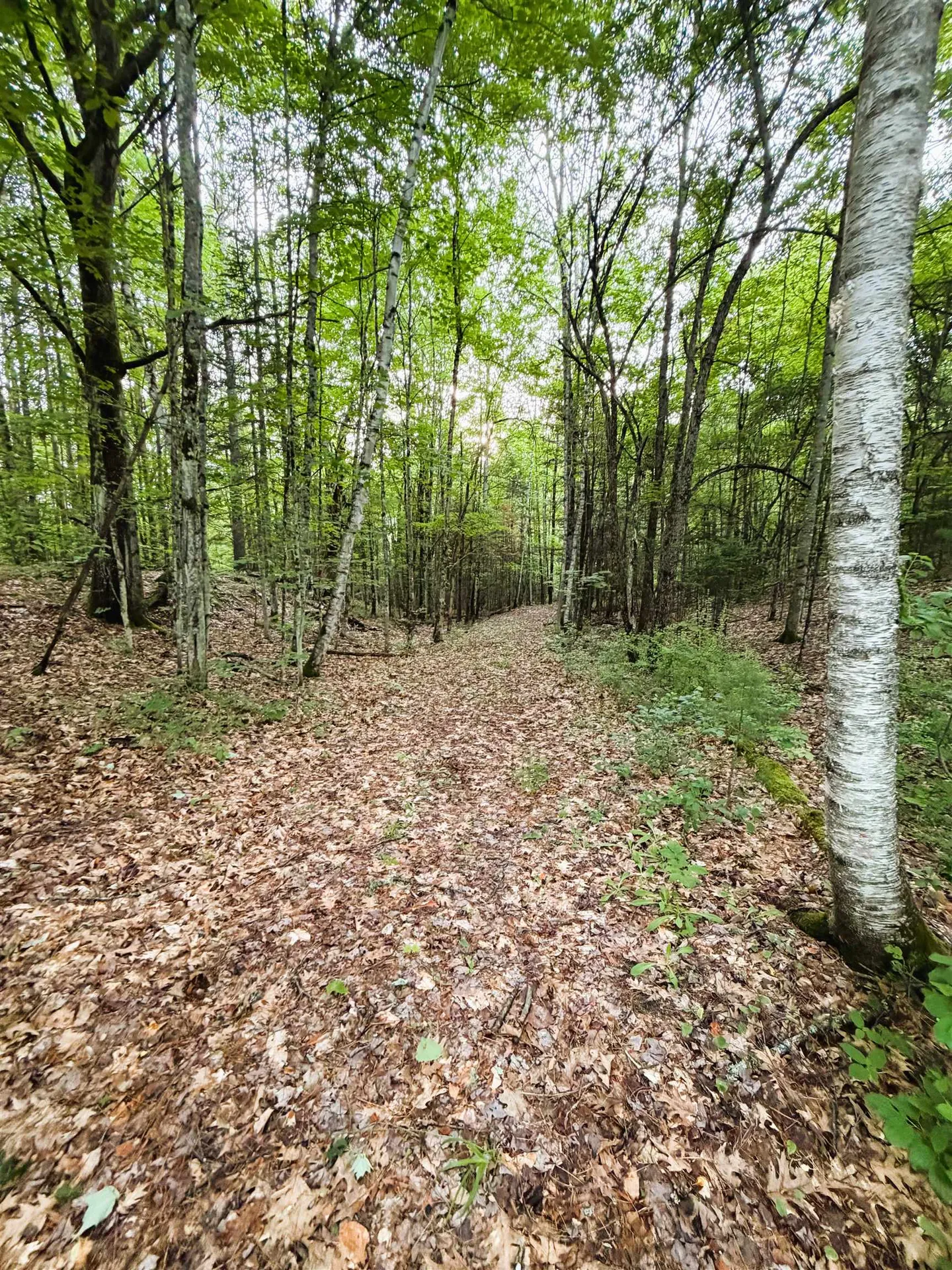 0 Old Partridge Lake Road Littleton NH 03561