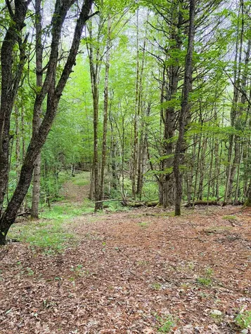 0 Old Partridge Lake Road Littleton NH 03561