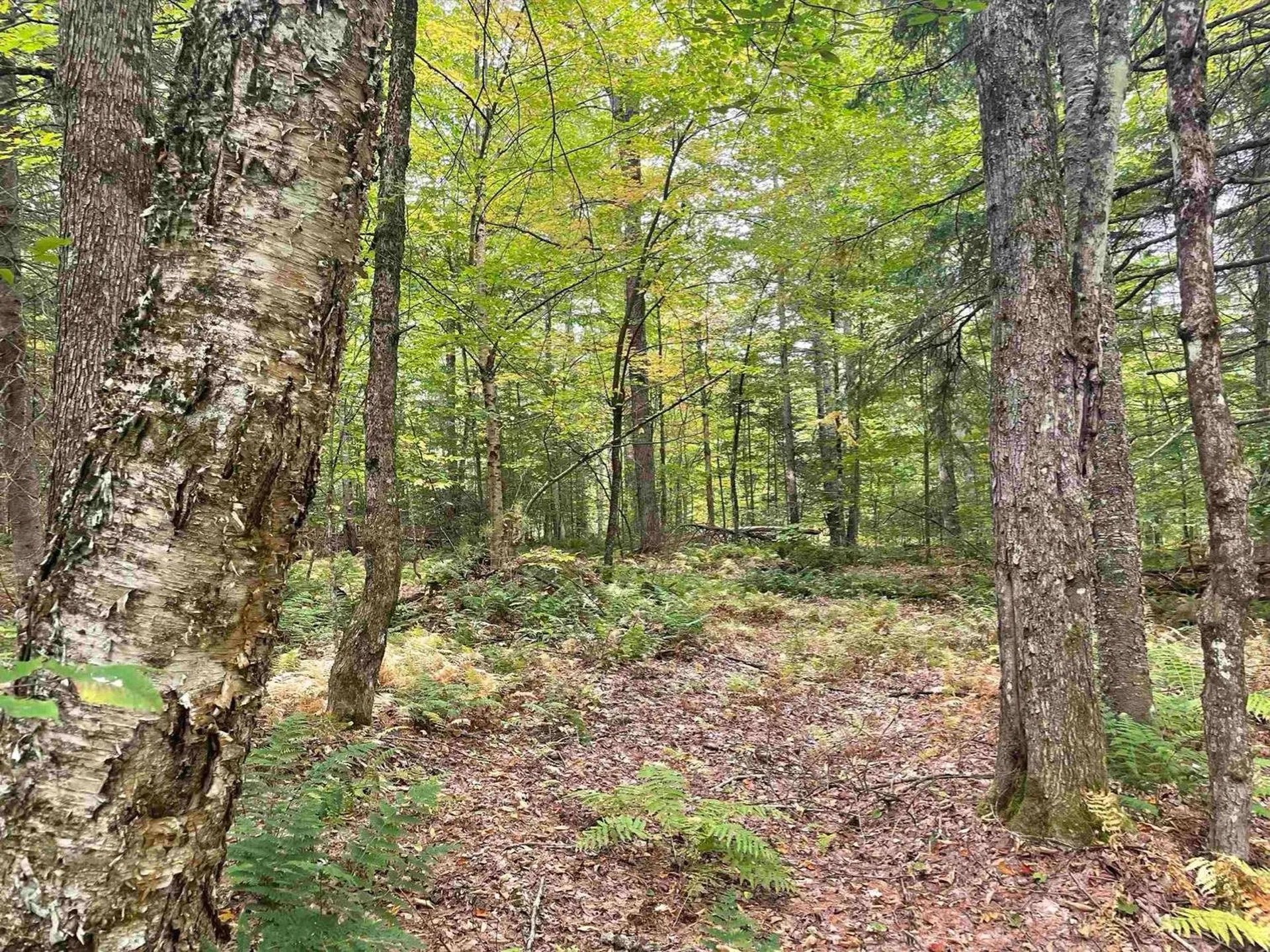 130 Stevens Road Woodbury VT 05681