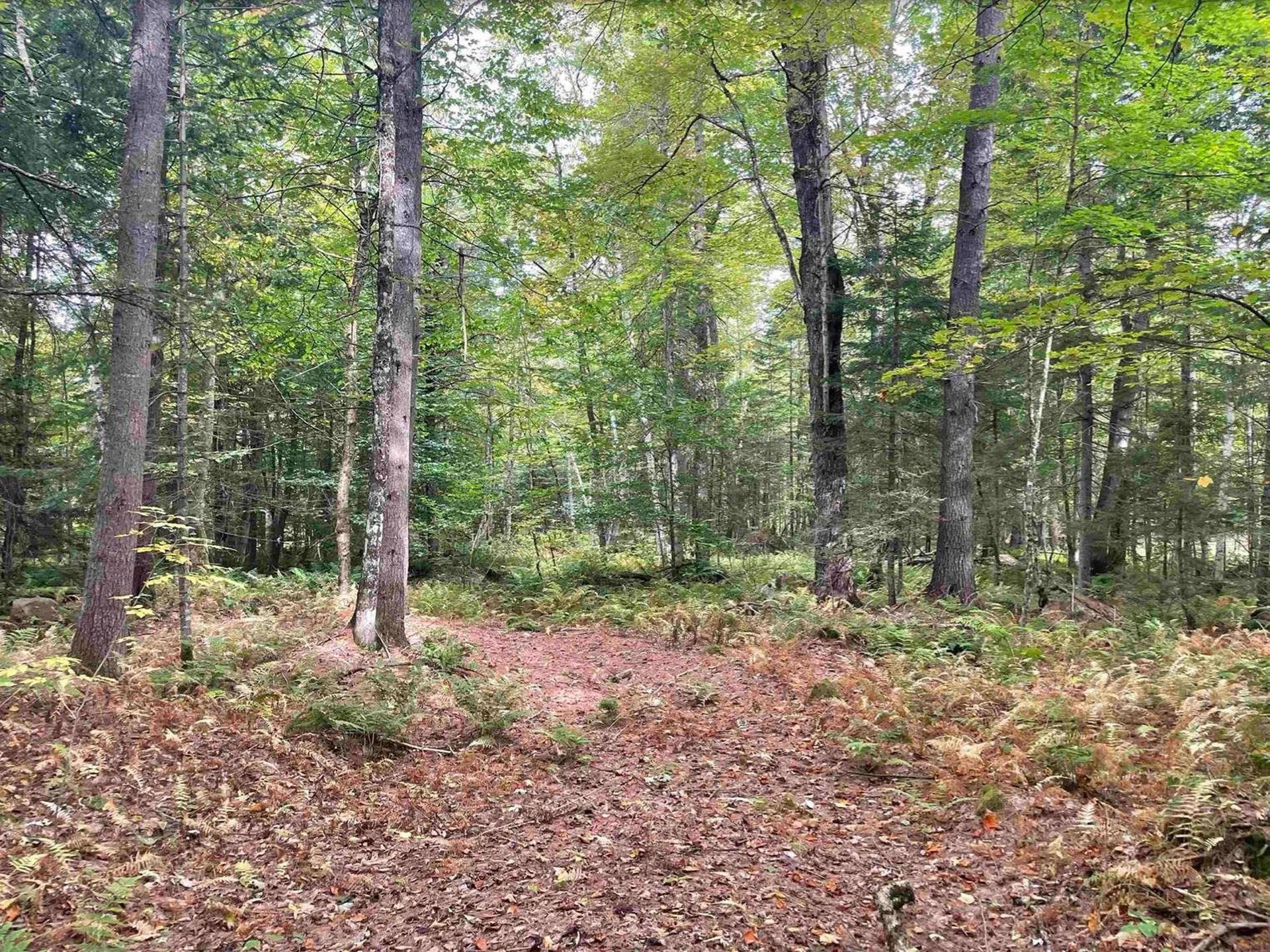 130 Stevens Road Woodbury VT 05681