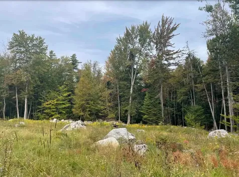 130 Stevens Road Woodbury VT 05681