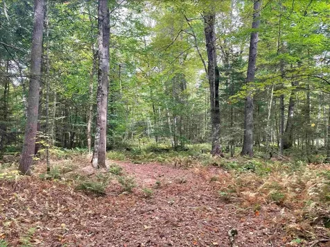 130 Stevens Road Woodbury VT 05681