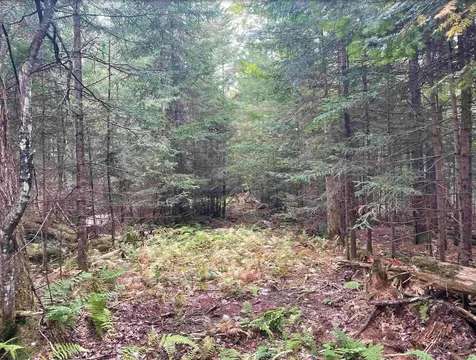 130 Stevens Road Woodbury VT 05681