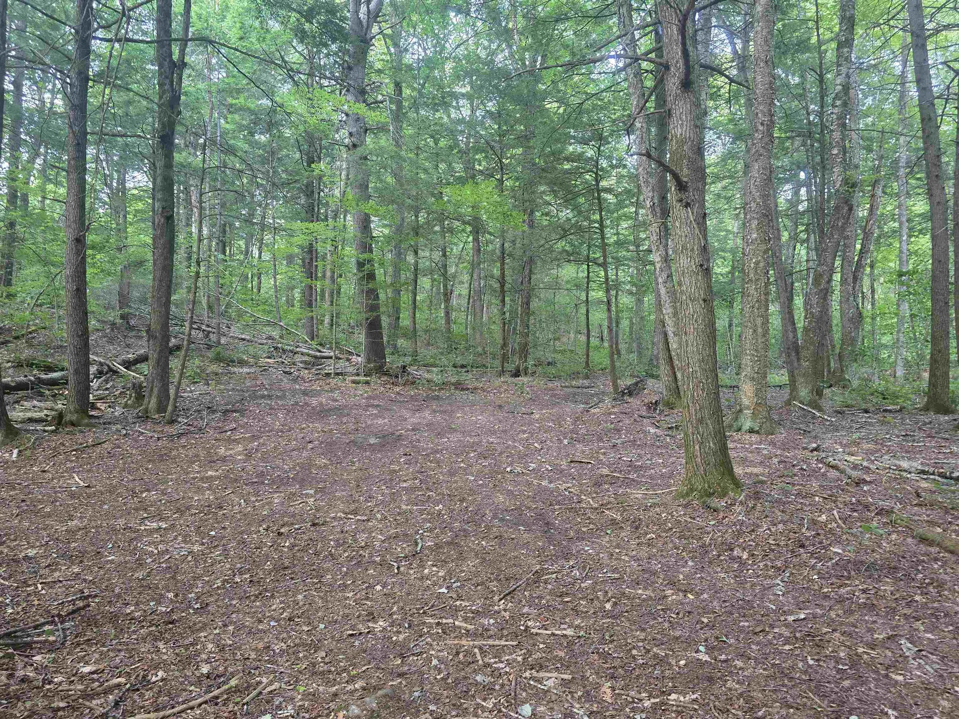 0FF Robin Hill Road Townshend VT 05359