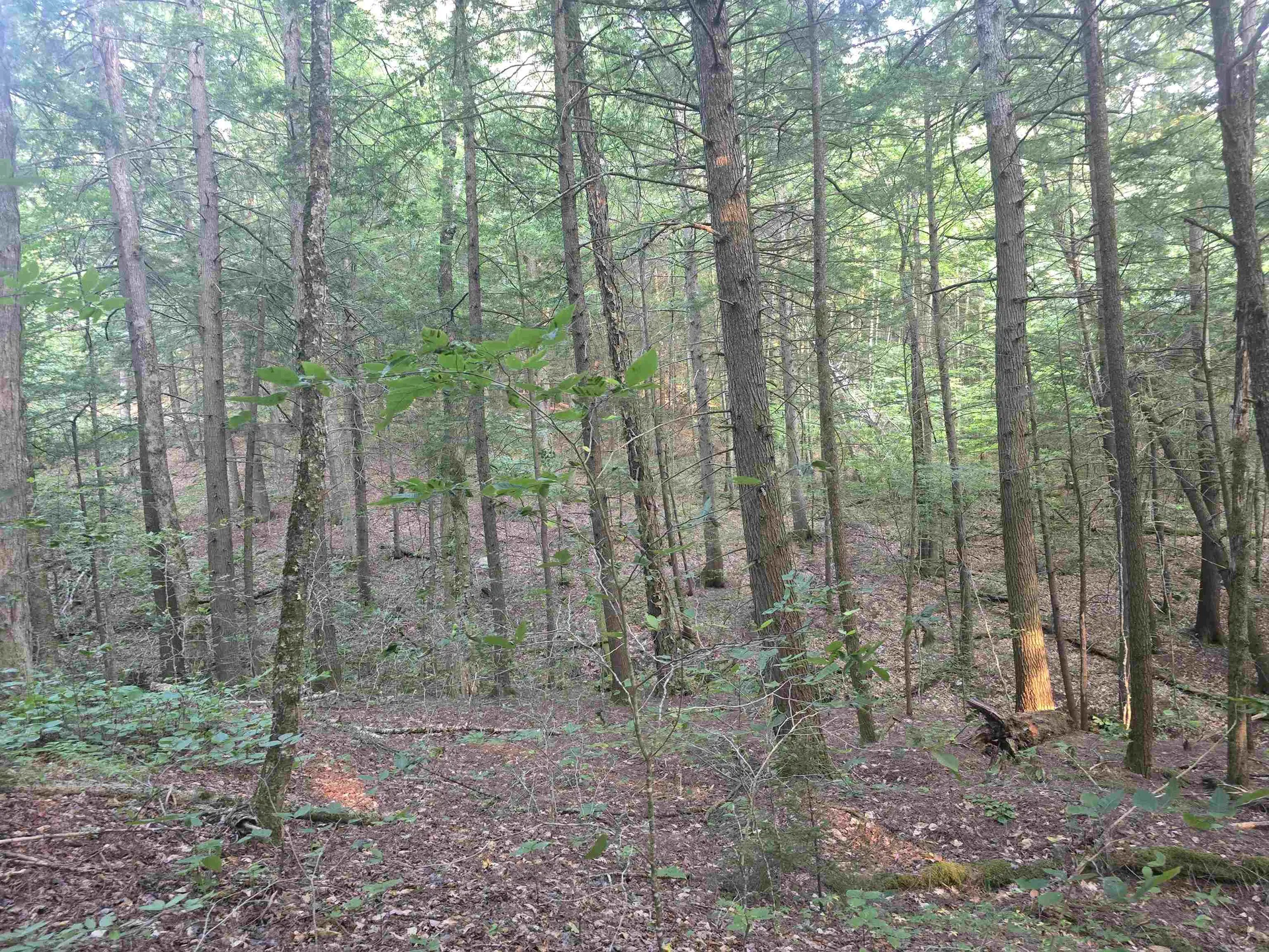 0FF Robin Hill Road Townshend VT 05359