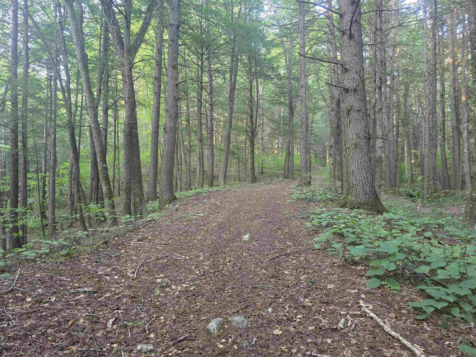 0FF Robin Hill Road Townshend VT 05359