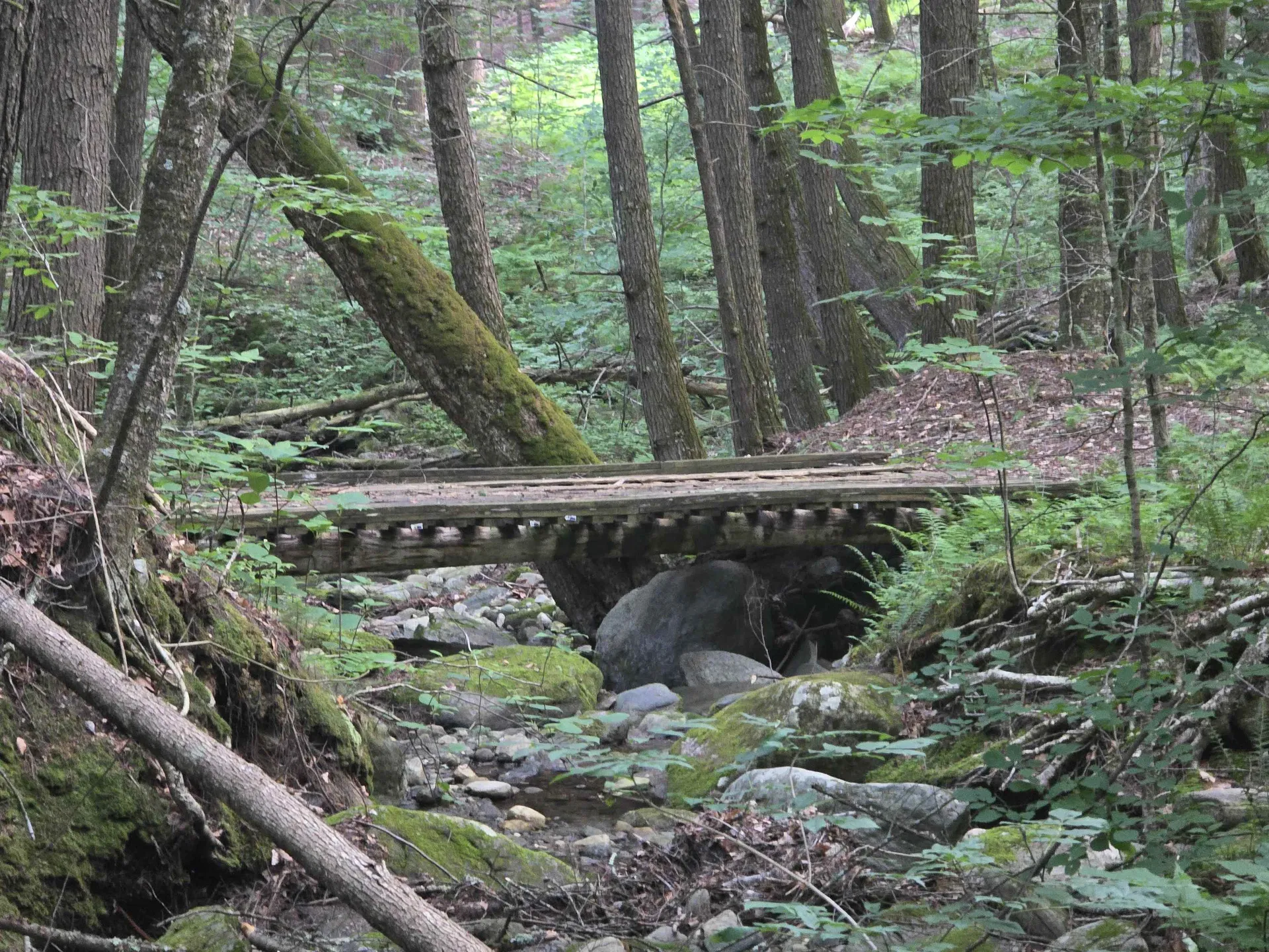 0FF Robin Hill Road Townshend VT 05359