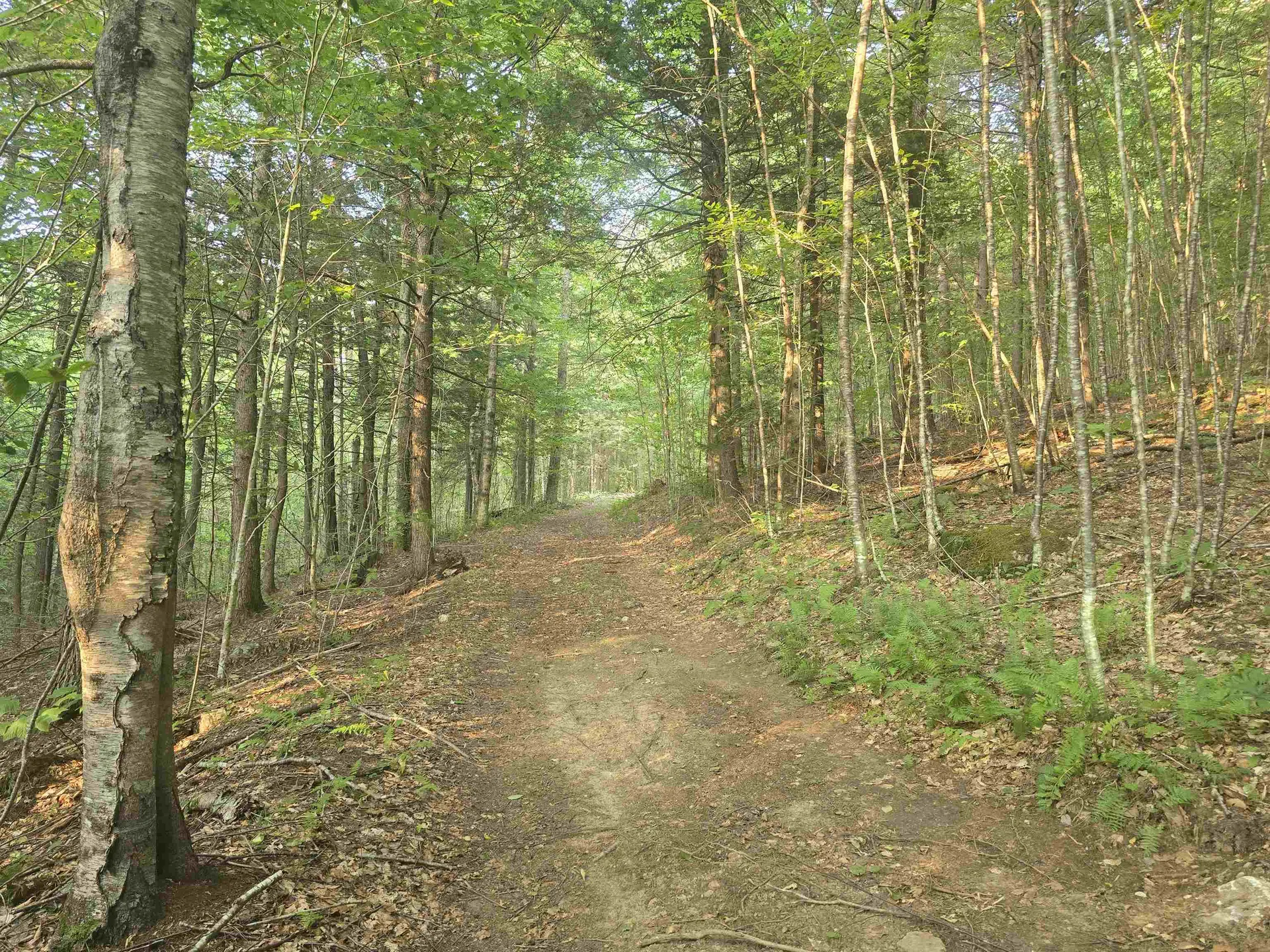 0FF Robin Hill Road Townshend VT 05359