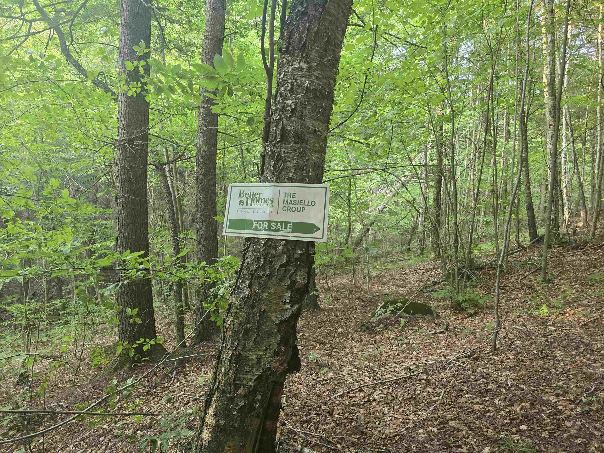 0FF Robin Hill Road Townshend VT 05359