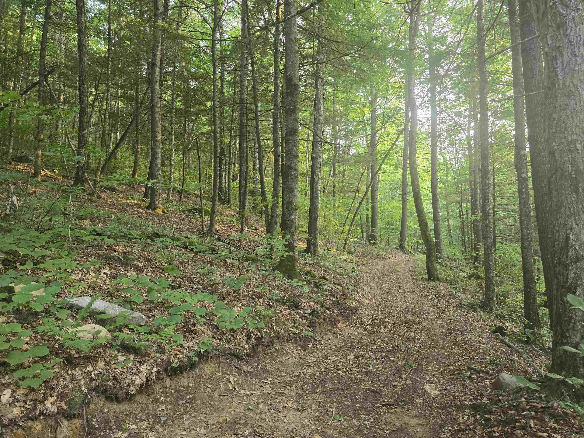 0FF Robin Hill Road Townshend VT 05359