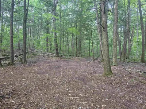 0FF Robin Hill Road Townshend VT 05359