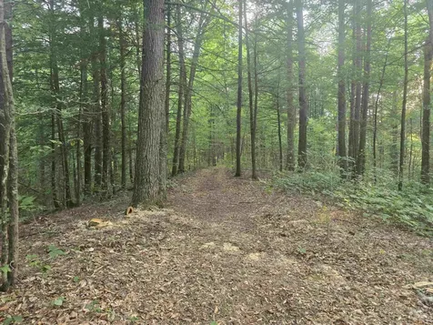 0FF Robin Hill Road Townshend VT 05359