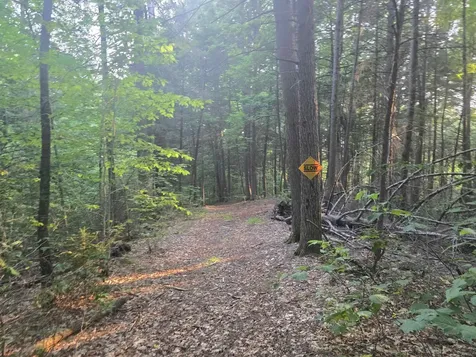 0FF Robin Hill Road Townshend VT 05359