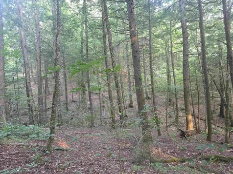 0FF Robin Hill Road Townshend VT 05359
