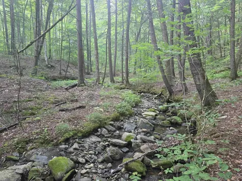 0FF Robin Hill Road Townshend VT 05359