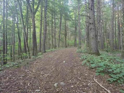 0FF Robin Hill Road Townshend VT 05359
