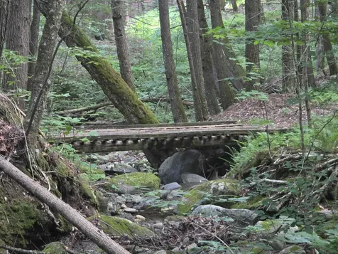 0FF Robin Hill Road Townshend VT 05359