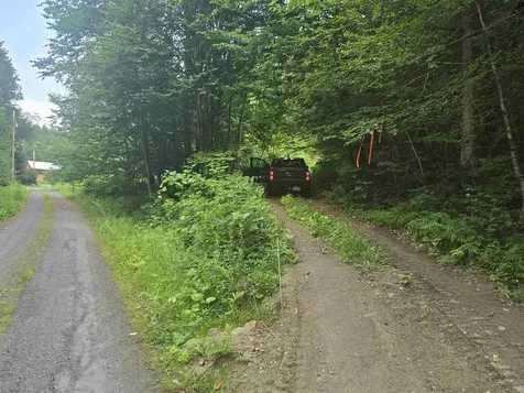 0FF Robin Hill Road Townshend VT 05359