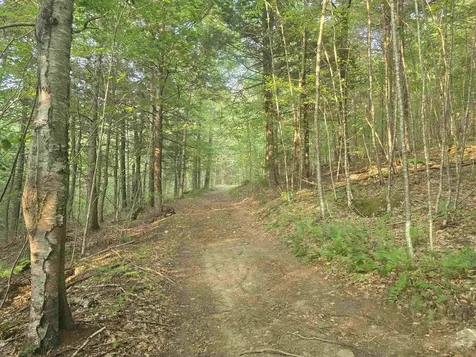 0FF Robin Hill Road Townshend VT 05359