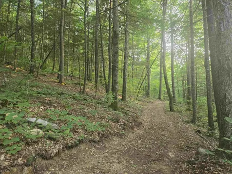 0FF Robin Hill Road Townshend VT 05359