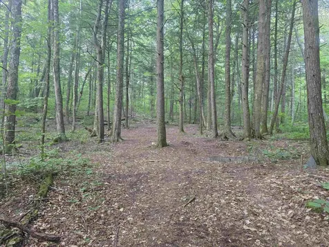 0FF Robin Hill Road Townshend VT 05359