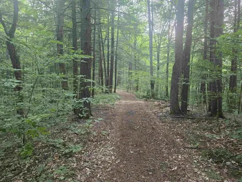 0FF Robin Hill Road Townshend VT 05359