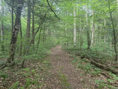0FF Robin Hill Road Townshend VT 05359
