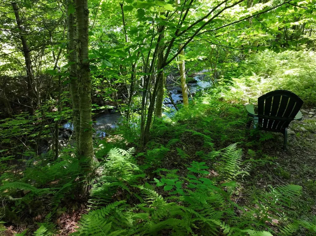 9562 Main Road Huntington VT 05462