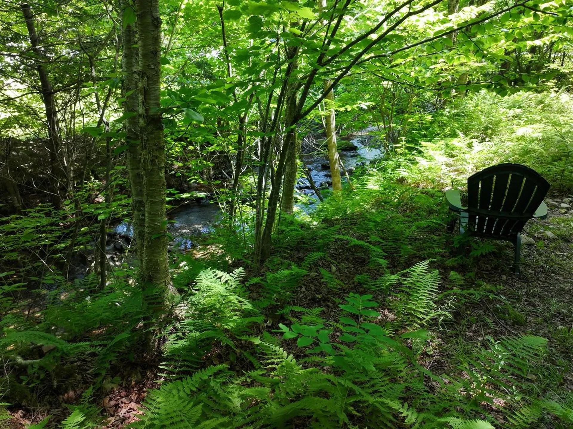 9562 Main Road Huntington VT 05462