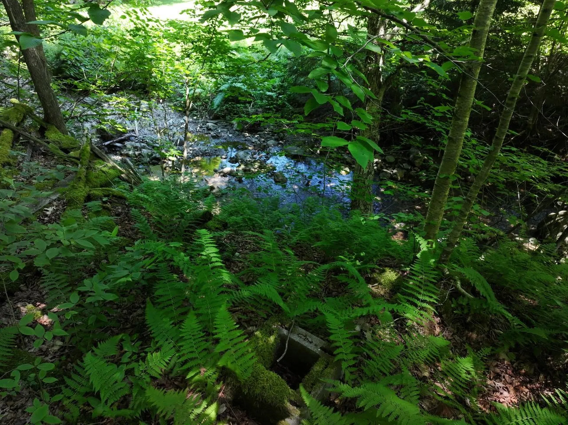 9562 Main Road Huntington VT 05462