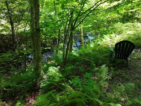 9562 Main Road Huntington VT 05462