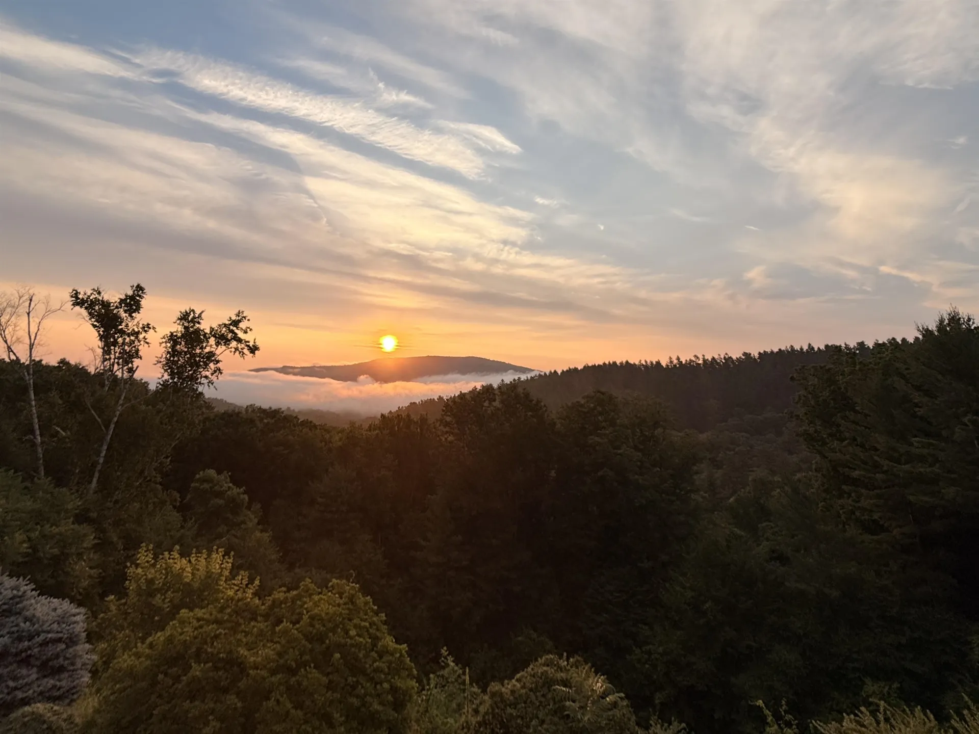219 Hillcrest Terrace Brattleboro VT 05301