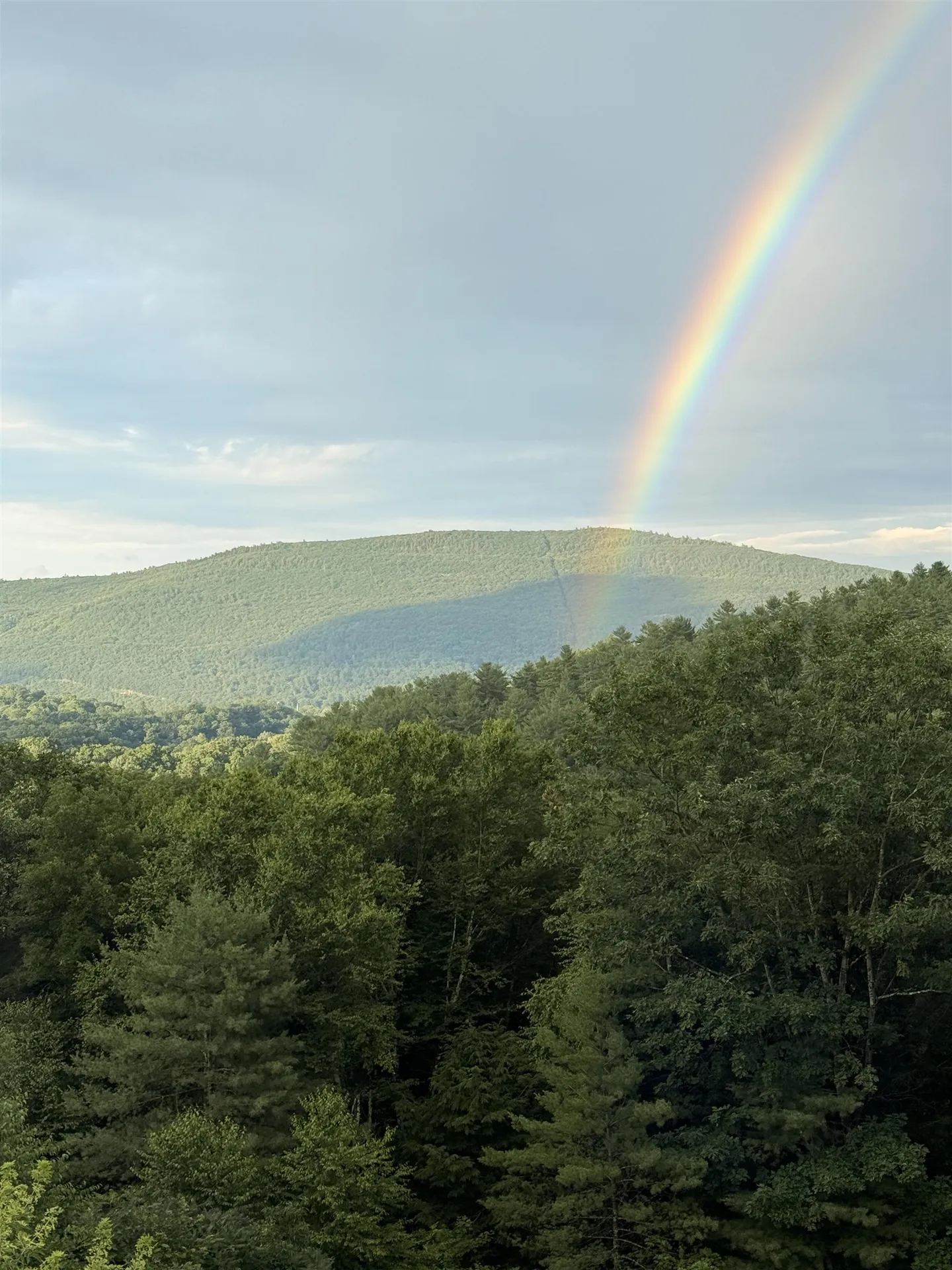 219 Hillcrest Terrace Brattleboro VT 05301