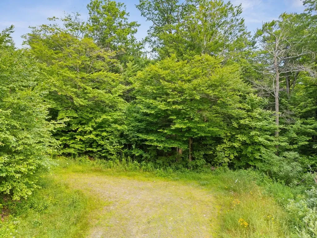 178 Colony Road Warren VT 05674