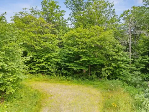 178 Colony Road Warren VT 05674